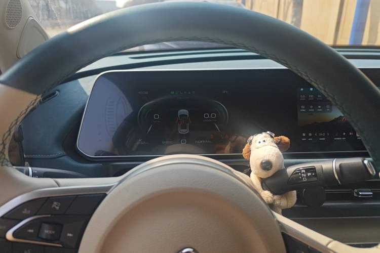 Used ORA Good Cat 2023 401 km Standard Range Luxury Version Lithium Iron Phosphate