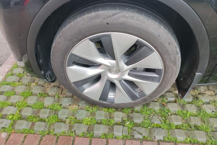 Used Tesla Model Y 2022 Revised Version Rear-Wheel Drive
