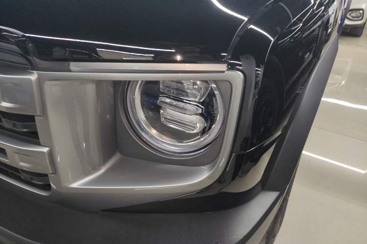 Used Haval DARGO 2024 2.0T DCT Chinese Rural Dog Edition
