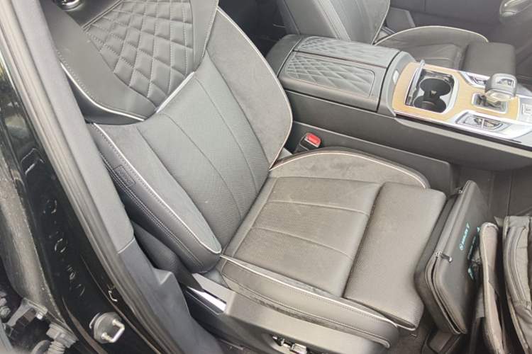 Used Hongqi E-HS9 2021 460 km Range Flagship Edition Six-Seater
