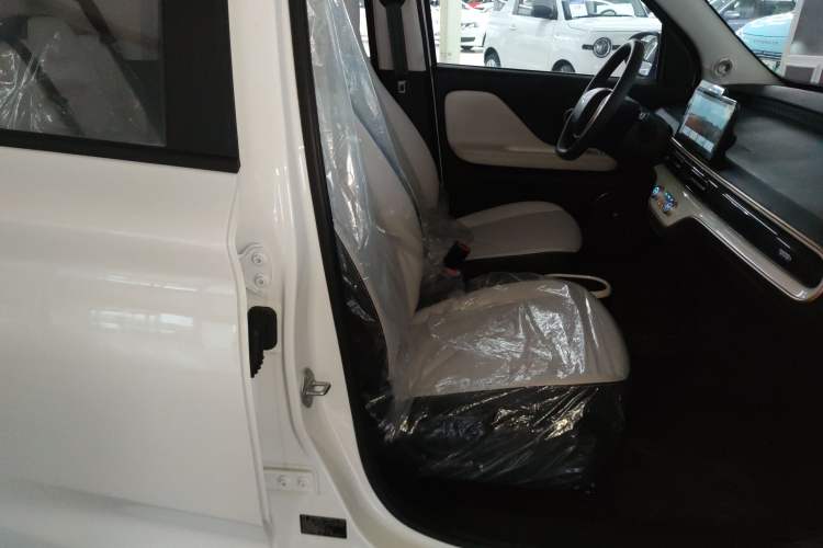 Used Cowin October 2025 Mate 300km Surfing Edition