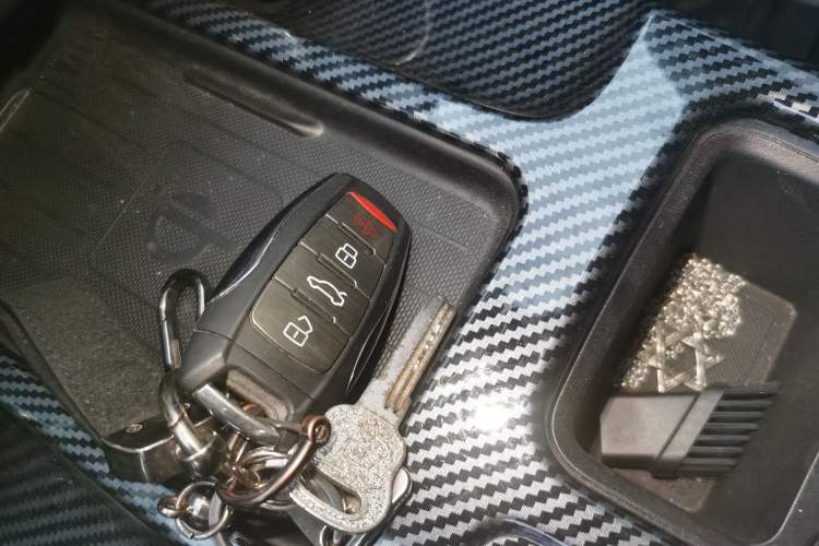 Used Haval DARGO 2024 2.0T DCT Chinese Rural Dog Edition
