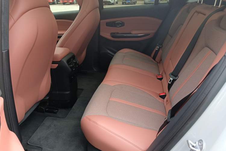 Used Nio EC6 2020 430 km Sport Version Left Rear Seat