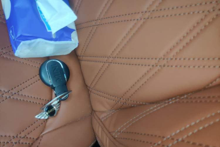 Used MINI MINI 2022 1.5T COOPER Artist Five-Door Edition
