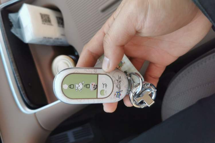 Used Leapmotor C11 2026 Range-Extended 300 LiDAR Prestige Edition
