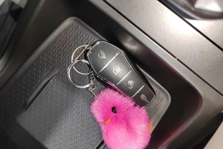 Used BYD Yuan UP 2024 301KM Leading Edition