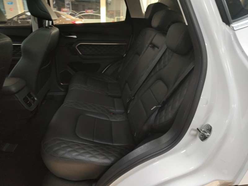 Used Haval H6 2020 2.0 GDIT Automatic Platinum Champion Edition — 16