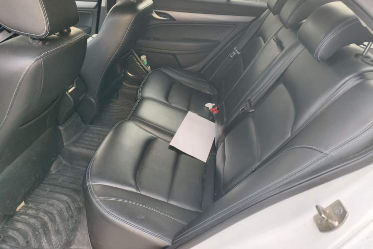 Used Geely Auto Emgrand New Energy 2018 EV350 Elite Model Left Rear Seat