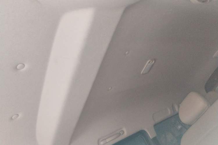 Used FORTHING Lingzhi 2019 M5L 1.6L 7-Seater Base Model China VI Standard
