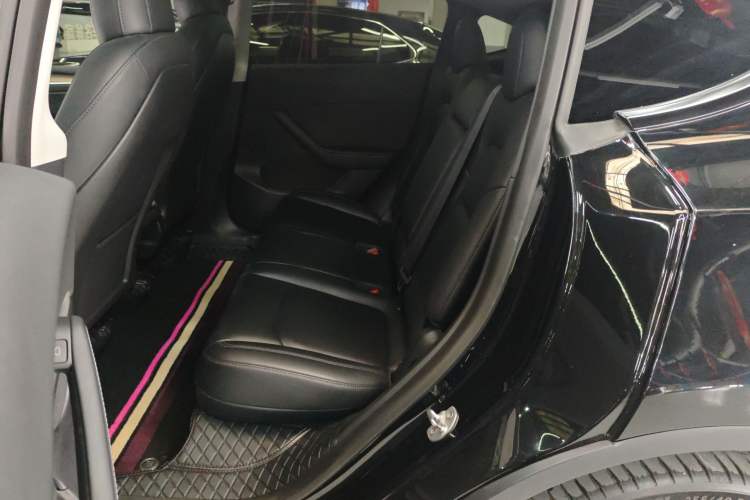 Used Tesla Model Y 2021 Standard Range Rear-Wheel Drive Version
