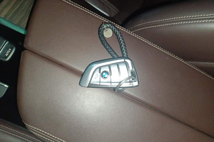 Used BMW 5 Series New Energy 2019 Updated Version 530Le Luxury Package
