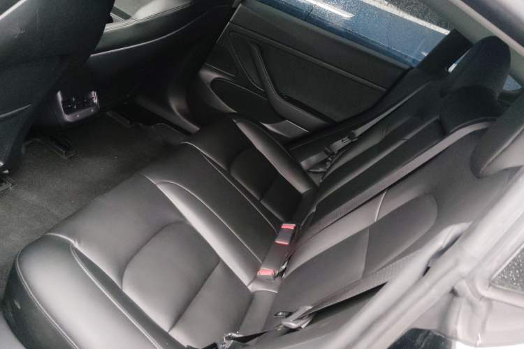 Used Tesla Model 3 2019 Standard Range Rear-Drive Upgraded Version