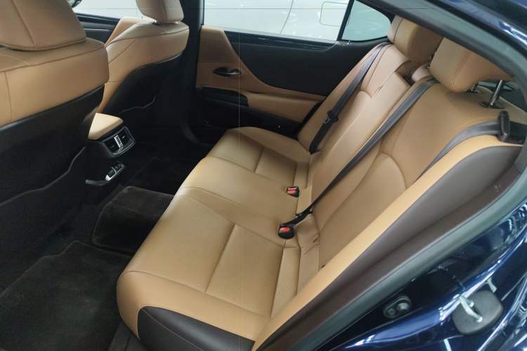 Used Lexus ES 2020 200 Excellence Edition Left Rear Seat
