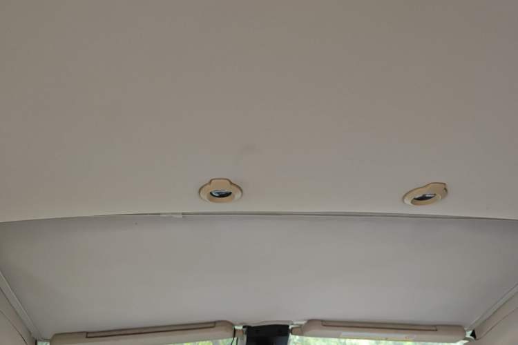 Used XPeng G3 2019 Smart Edition Headliner