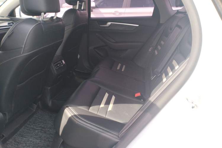 Used BYD Qin New Energy 2019 High-Range Luxury Model Left Rear Seat