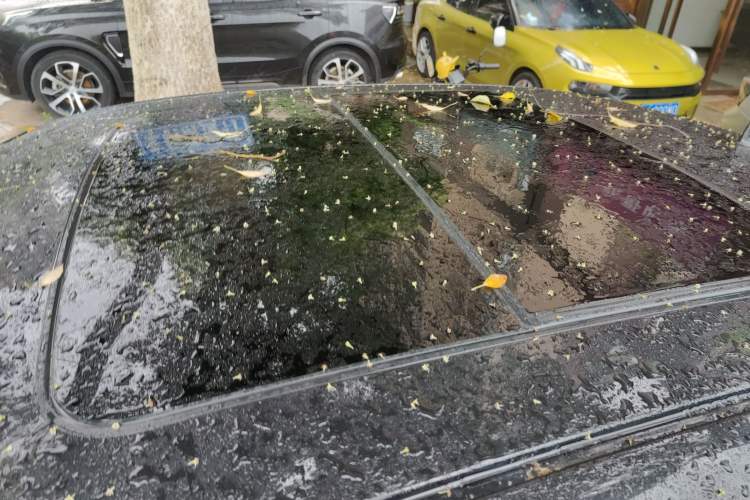 Used Lynk & Co 03 2019 03+ 2.0TD Automatic Wind-Chasing Edition Roof