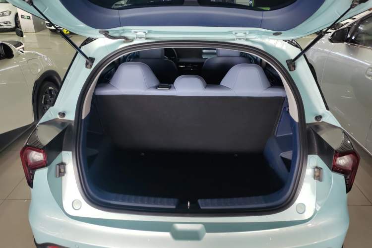 Used Geometry E Firefly 2022 401 km Linglong Tiger 5 Seats