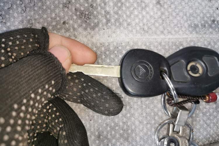 Used Geely Auto Vision 2010 1.5L Platinum Edition