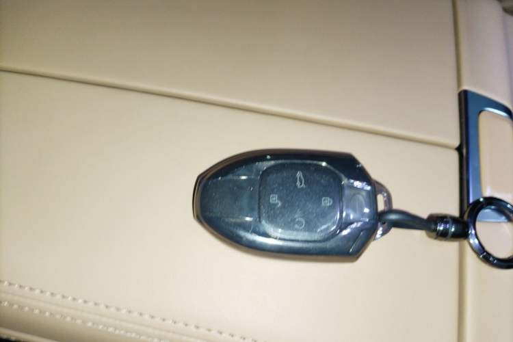 Used GAC Trumpchi GS8 2024 Linghang Series 2.0 TGDI Two-Wheel Drive Luxury Smart Connectivity Version
