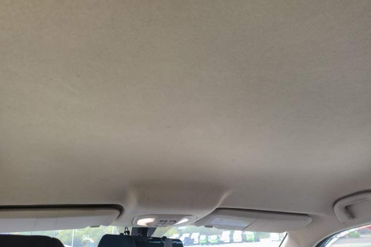 Used Leopaard CS9 2018 1.5T CVT Jingrui Model Headliner