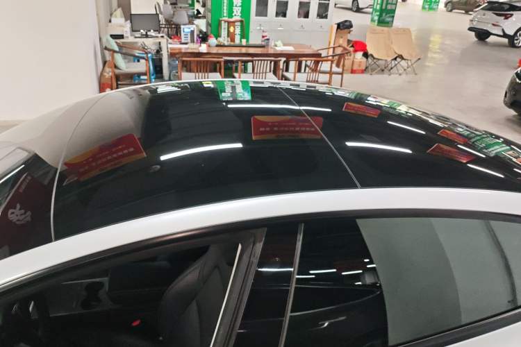 Used Tesla Model 3 2022 Rear-Wheel-Drive Version
