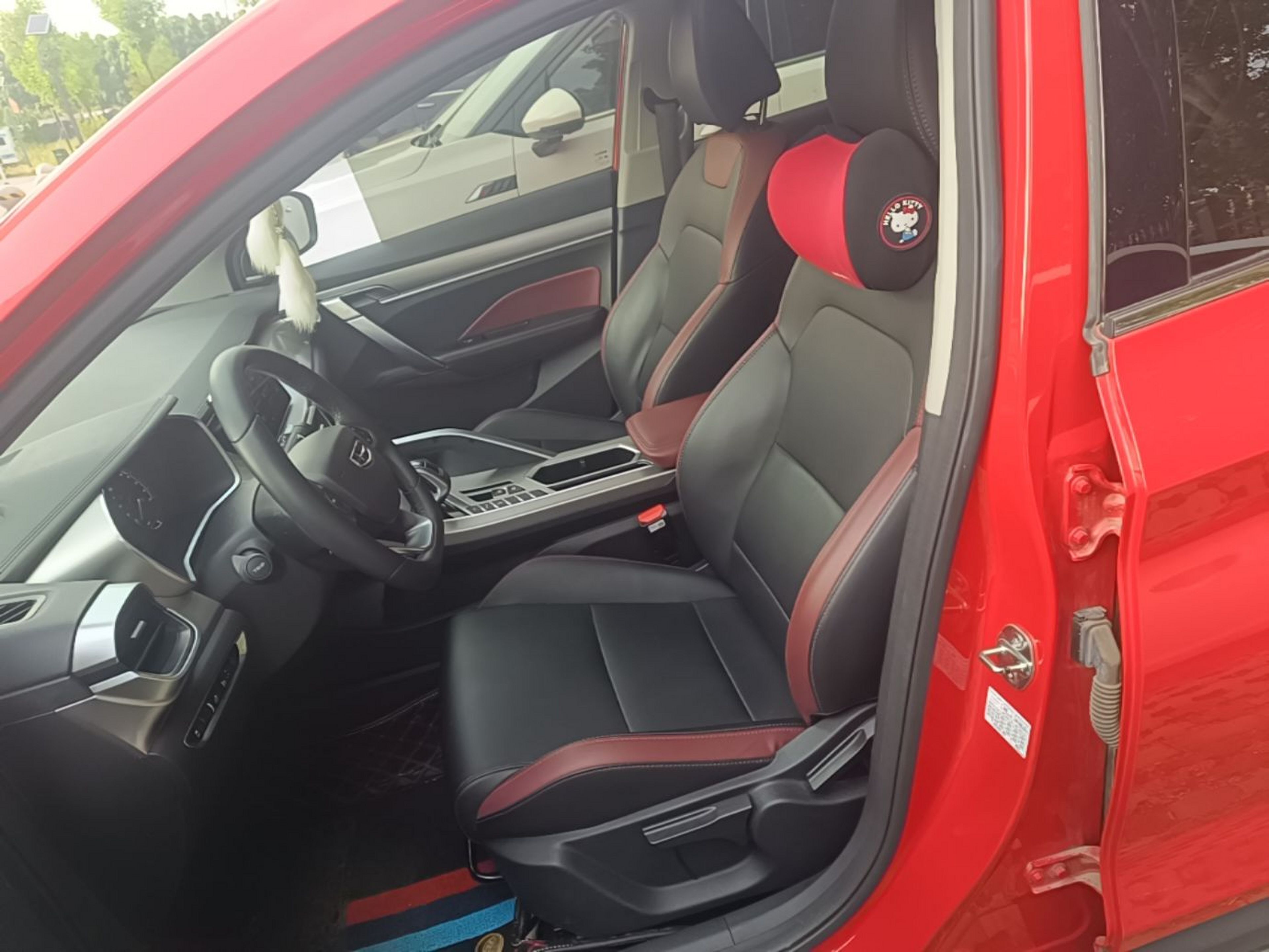 Interior delantero