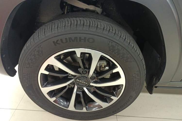 Used Haval H9 2024 2.0T Gasoline All-Wheel-Drive Extreme Edition
