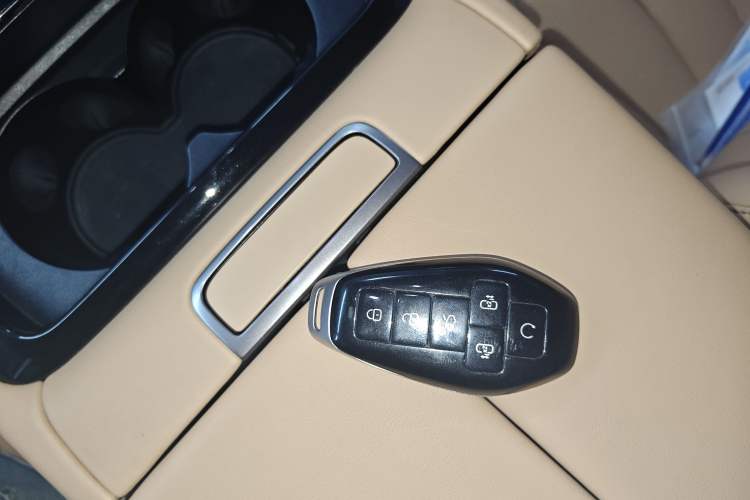 Used Denza D9 2025 DM-i Smart Drive 1020 Four-Wheel Drive Deluxe Model