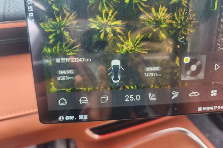 Used Deepal S07 2023 121Max Range-Extended Version Odometer Close Up