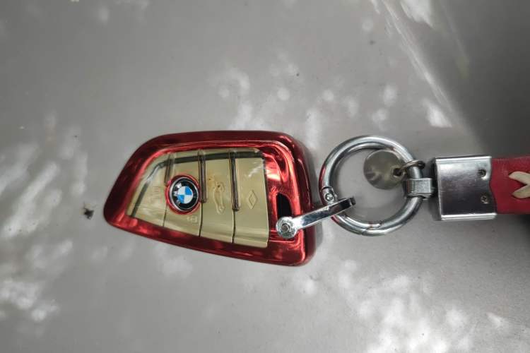 Used BMW 5 Series 2021 530Li Leading Model M Sport Package