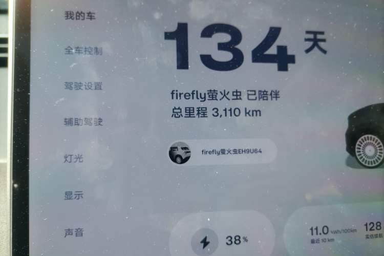 Used firefly firefly 2025 Night Creature Special Edition
