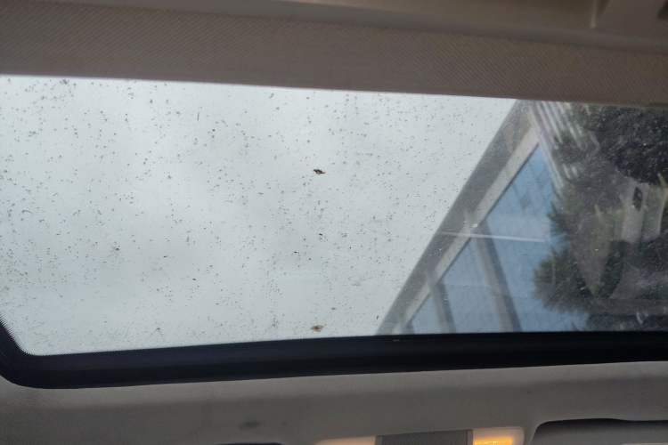 Used Mercedes-Benz C-Class 2010 C 180K Classic model Headliner