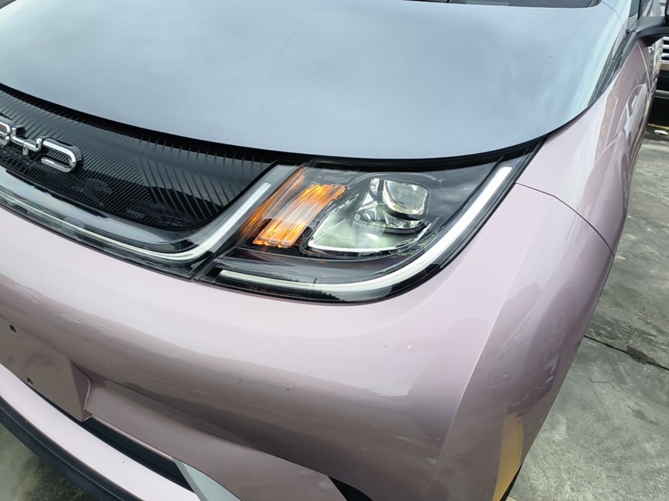 BYD Dolphin 2021 401km Knight Edition — снимка 8