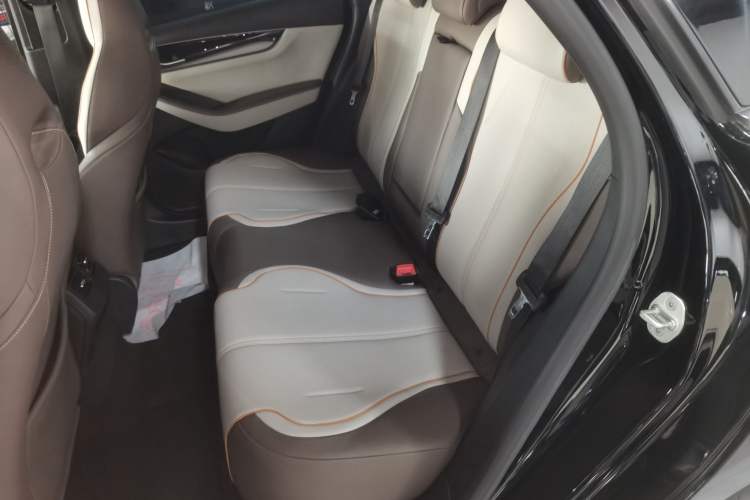 Used BYD Qin PLUS 2023 Champion Edition EV 510KM Beyond Model Left Rear Seat