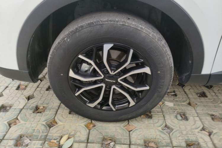 Used Haval H6 2023 National Trend Edition 1.5T Automatic Urban Version
