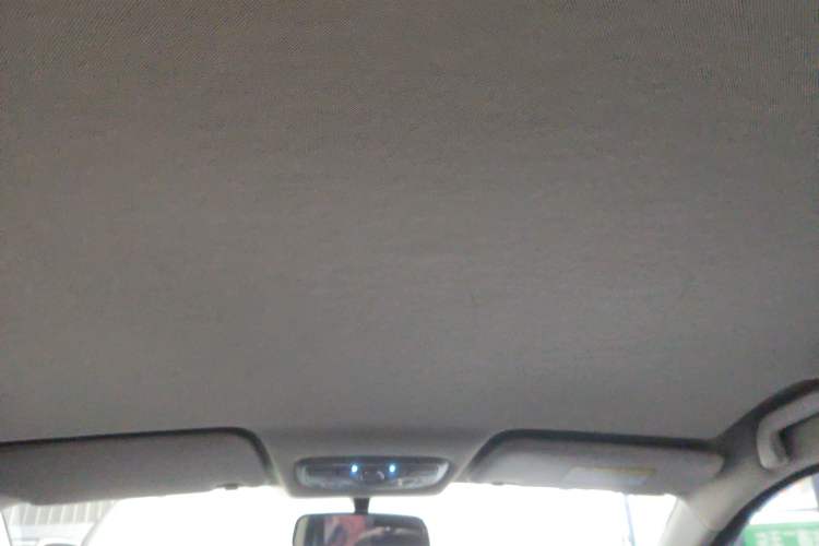 Used Dayun Yuehu 2021 Revised Version 32.85 kWh Two-Wheel Drive Sprite Edition