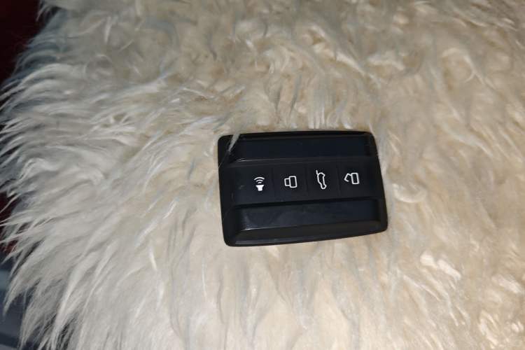 Used Cyberspace Tank 300 2021 2.0T Cyber Tank
