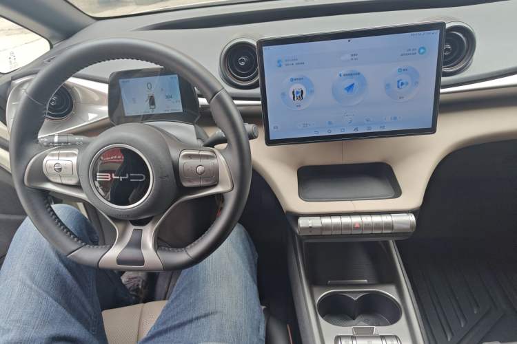 Used BYD Dolphin 2024 Honor Edition 420km Fashion Version Center Console