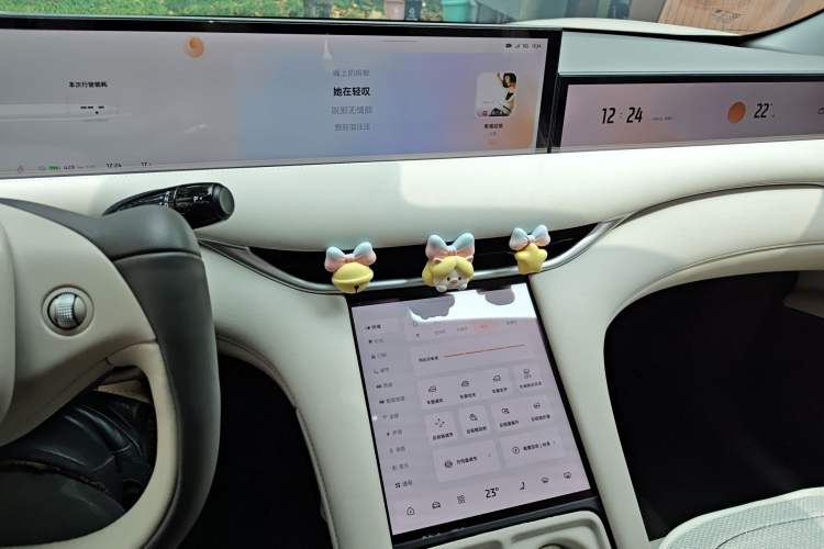 Used IM LS6 2023 Max Standard Edition