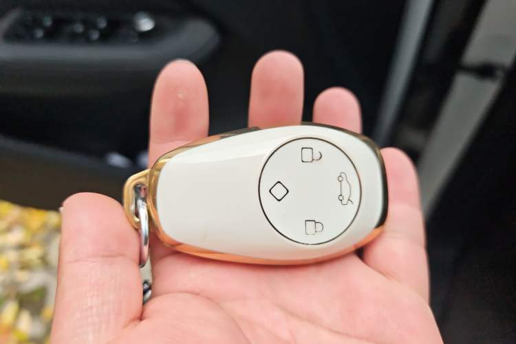 Used Leapmotor T03 2021 400 Lite Edition - Lithium-Ion Battery
