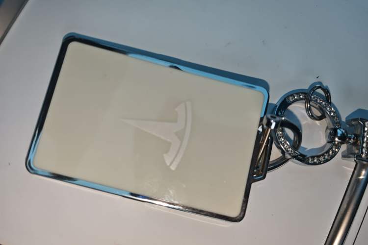 Used Tesla Model 3 2021 Standard Range Rear-Wheel Drive Upgraded Version 3D6 Vehicle Key