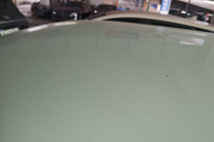 Used Qiyuan Lumin 2022 210km Sweet Edition