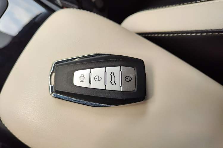 Used Geometry E Firefly 2024 401km Starlight
