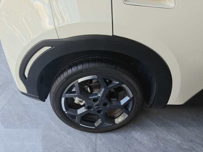 Used BYD Seagull 2025 305 km Free Version — 25