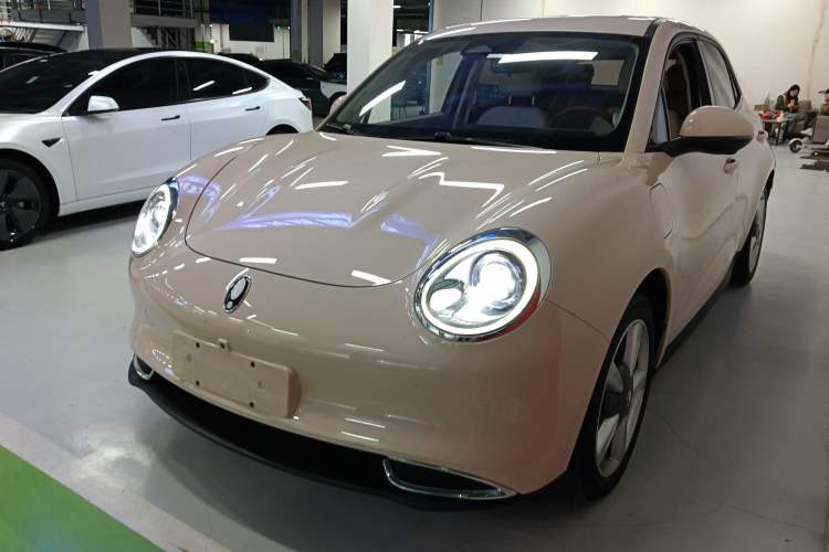 Used ORA Good Cat 2023 401 km Standard Range Comfort Version Lithium Iron Phosphate