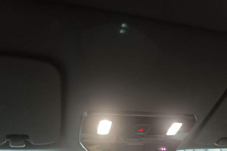 Used Li Auto i6 2025 Model Two-Wheel-Drive Standard Type Headliner