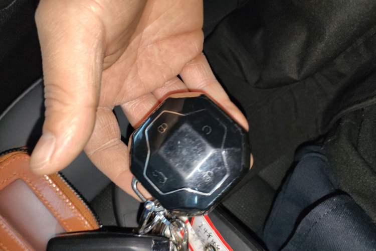 Used JETOUR Shanhai Traveler C-DM 2024 C-DM 208KM Mountain & Wilderness Edition
