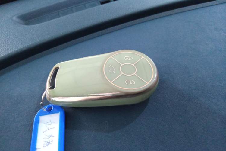 Used ORA Good Cat 2022 Morandi Edition 400km Standard Range Premium Version Lithium Iron Phosphate