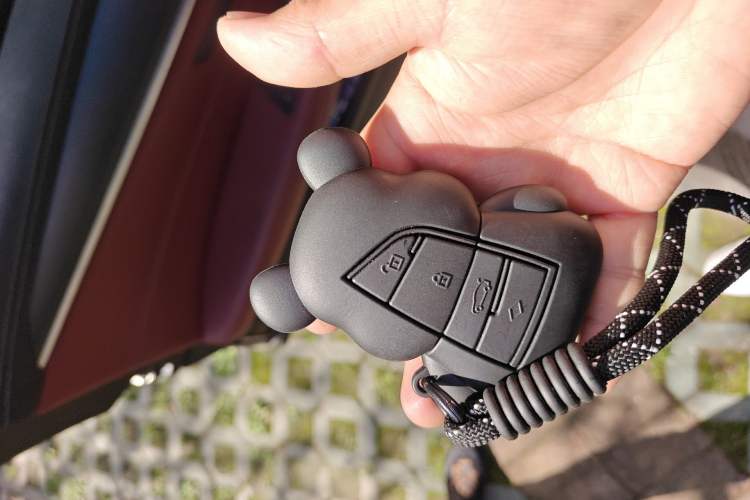 Used BMW 5 Series New Energy 2022 Second Facelift 535Le M Sport Package Vehicle Key