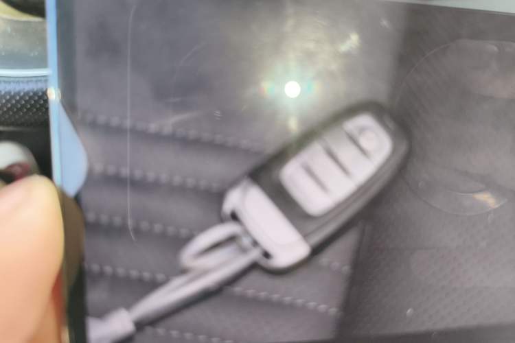 Used Hongqi H9 2020 2.0T Smart Connect Flagship Edition
